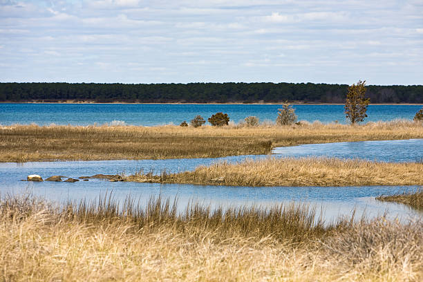 marsh en principios de la primavera - cape cod new england sea marsh fotografías e imágenes de stock