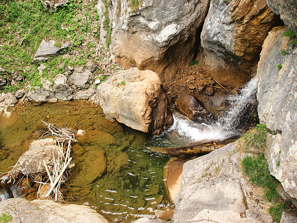 глубокий лес brook - ravine canyon stream sparse стоковые фото и изображения