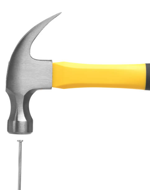 Hammer in Hand , isolated on white