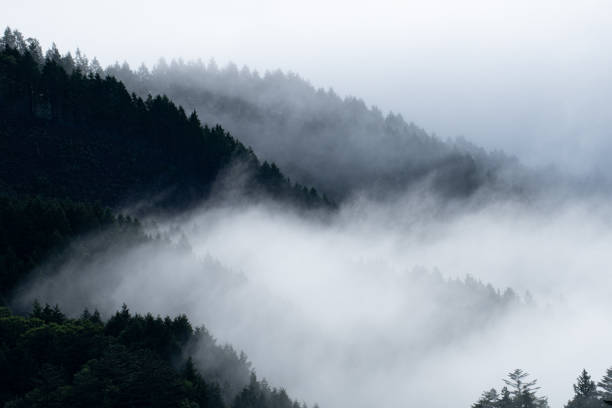 istock beautiful sea of clouds 1753884334