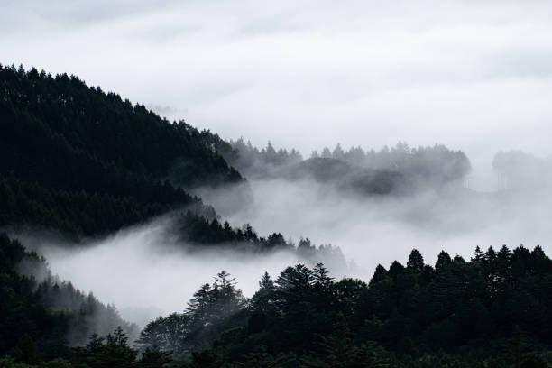 istock beautiful sea of clouds 1753884365