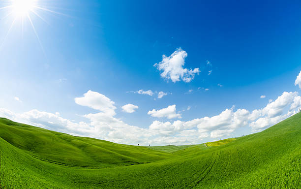 istock Majestic Tuscany wheat landscape at dusk 175388750