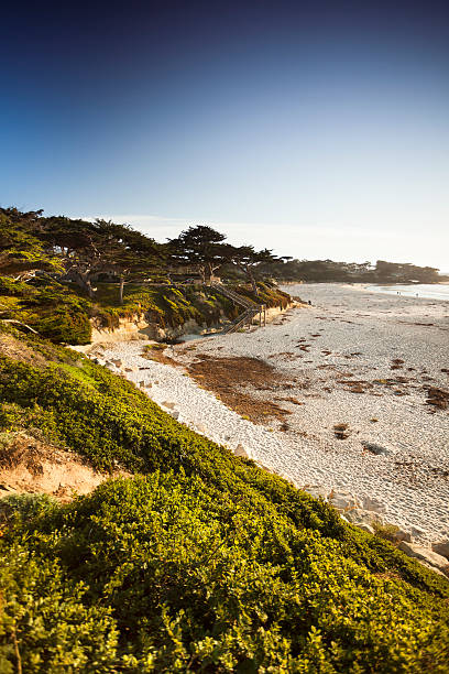 istock Carmel Beach in Carmel-by-the-Sea 175389242