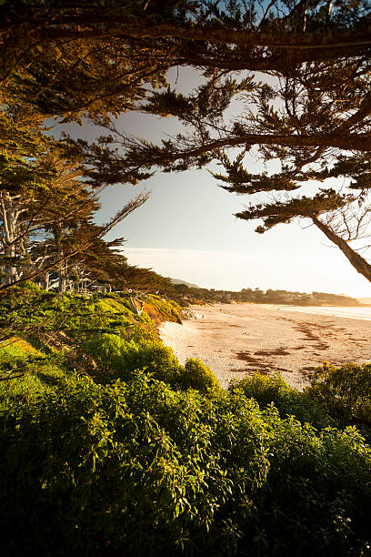 istock Carmel Beach in Carmel-by-the-Sea 175389434