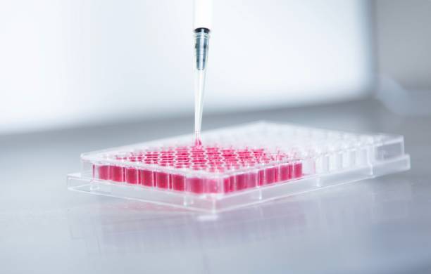istock Closeup of a syringe in a plastic container with liquid medicine in a lab 1753895091
