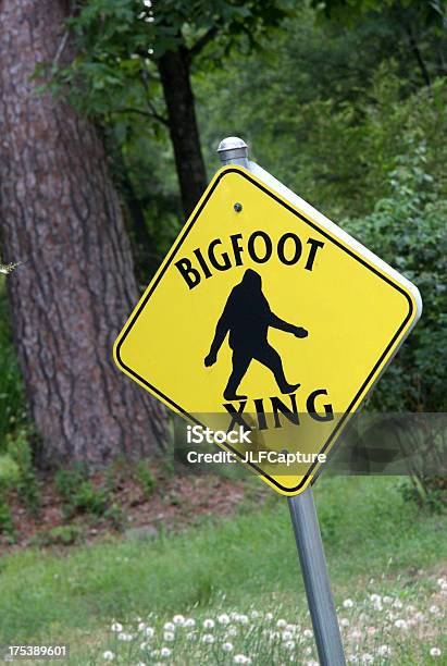 Bigfoot 横断標識 - ビッグフットのストックフォトや画像を多数ご用意 - ビッグフット, 雪男横断, いかさま