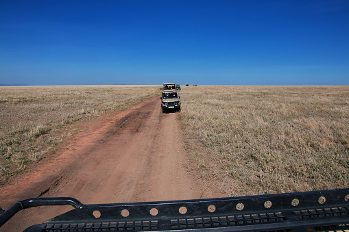 Safari truck and wildlife rhino in Western Cape South Africa