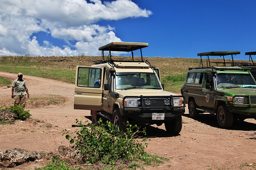 Ngorongoro, Tanzania - 06 Jan 2017: Safari in Kenia and Tanzania, Africa