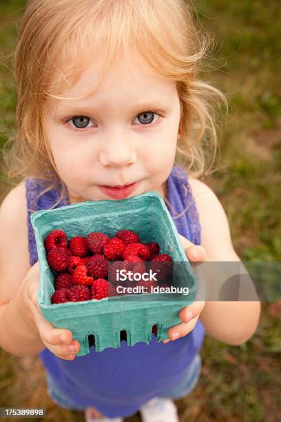 Photo libre de droit de Petite Fille Tenant Carton De Framboises Elle A Choisi banque d'images et plus d'images libres de droit de 2-3 ans