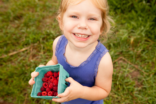 Color image of a little blond-haired girl proudly holding a carton of raspberries she just picked, while standing outside on summer day.
