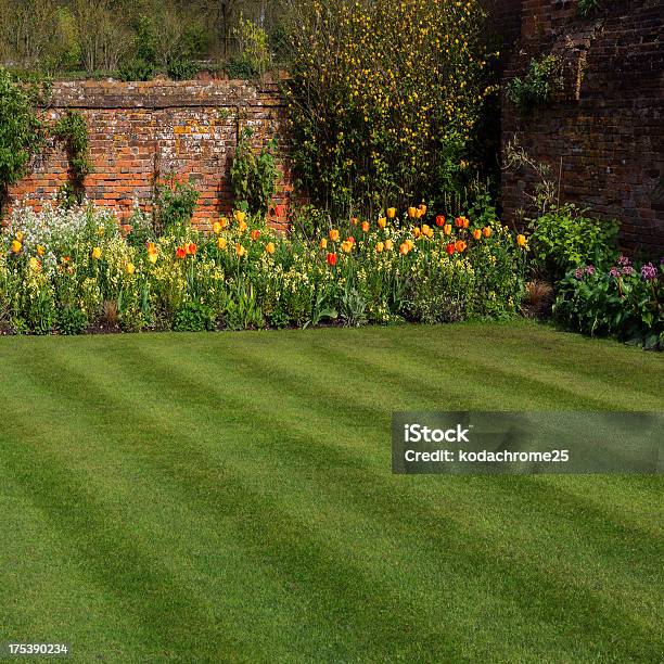 Green Yard With Garden And Wall Border Stock Photo - Download Image Now - Lawn, Yard - Grounds, Mowing