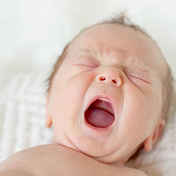 istock Newborn baby yawning. Close up.  Square composition 175390394