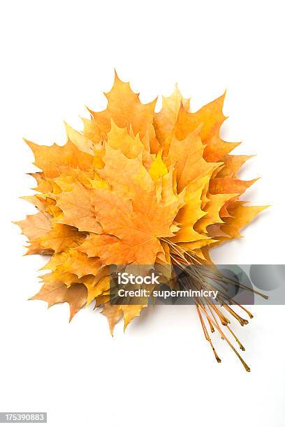 Jesień Liście - zdjęcia stockowe i więcej obrazów Jesień - Jesień, Liść, Sterta - Aranżacja