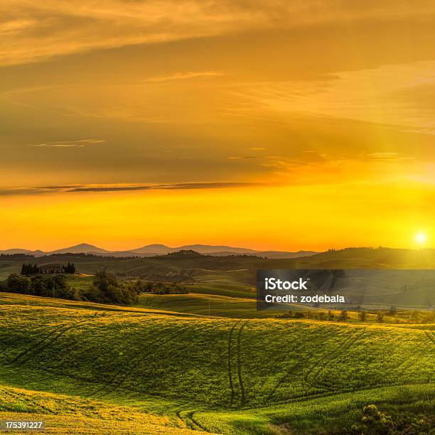 Paisaje Rural Con Los Campos De Trigo En La Toscana Al Atardecer Foto de stock y más banco de imágenes de Agricultura