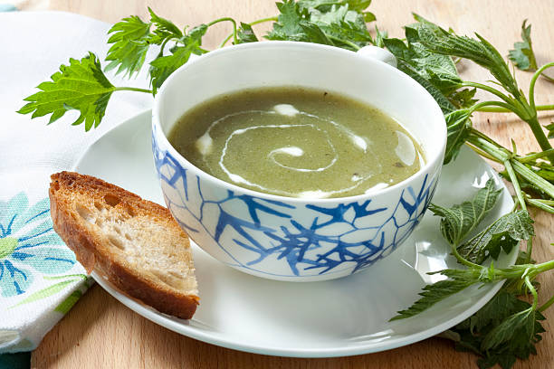 sopa de urtiga com chantilly - creme fraiche imagens e fotografias de stock