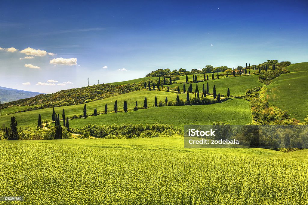 Estrada rural da Toscana, Val d'Orcia - Foto de stock de Toscana - Itália royalty-free