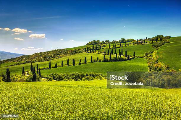 Estrada Secundária Em Toscana Val Dorcia - Fotografias de stock e mais imagens de Toscana - Itália - Toscana - Itália, Agricultura, Ajardinado