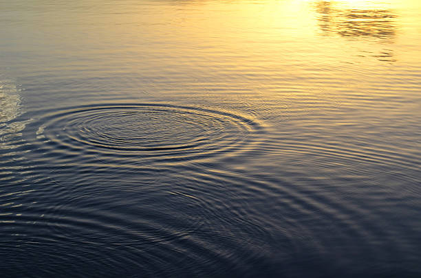 Free Stock Photo of Ripples on water surface at sunset | Download Free ...