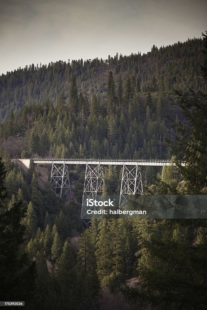 Railroad Bridge bis einschießlich Nordkalifornien Forest - Lizenzfrei Alt Stock-Foto