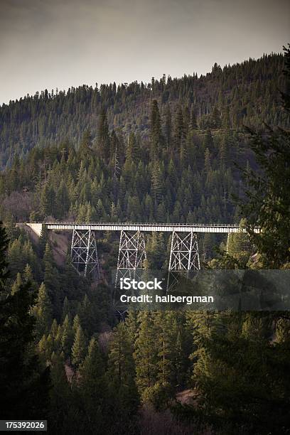 Foto de Ponte Da Ferrovia Thorugh Floresta Do Norte Da Califórnia e mais fotos de stock de Antigo