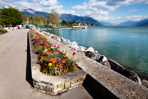 Vevey Lakefront with Colorful Flowers, Switzerland