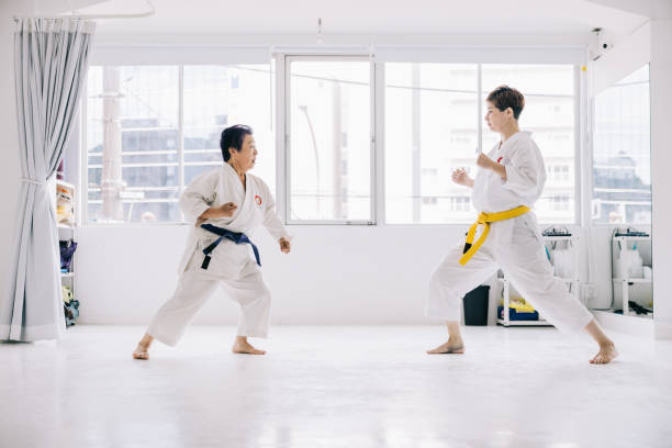 istock Two Japanese females learning karate together in a karate class 1753921688