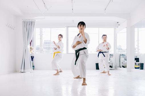 Japanese female learners execute powerful kicks, embodying the precision and strength required to excel in the art of karate.