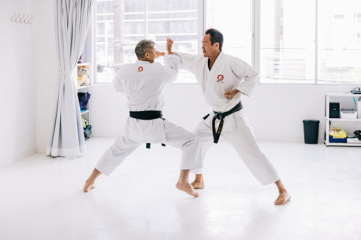 Japanese karate masters train together in perfect harmony, demonstrating their unparalleled skill and mastery.