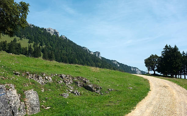 istock The Needles of Baulmes 175392781