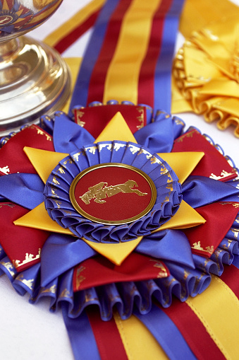 A horse show champion ribbon lying on a  table with other awards