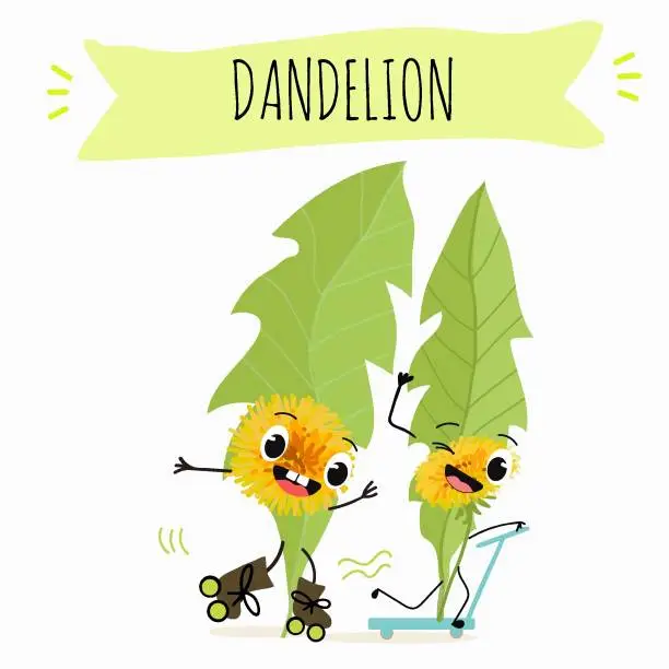 Vector illustration of Vector cartoon character dandelion, funny character, medicinal plant, cooking.