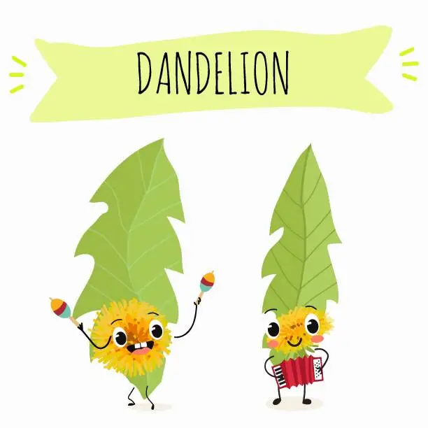 Vector illustration of Vector cartoon character dandelion, funny character, medicinal plant, cooking.