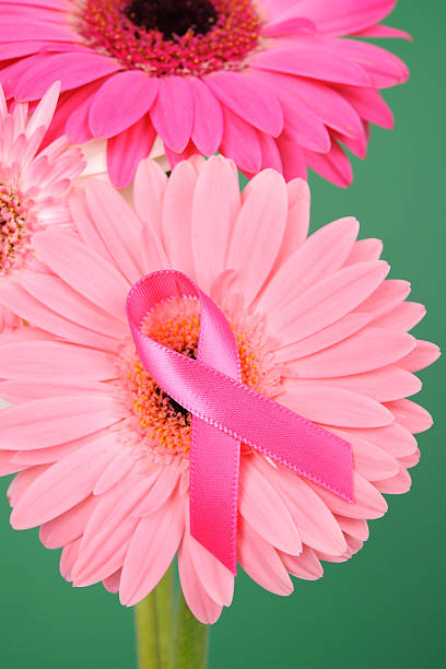 istock Breast Cancer Awareness Daisies 175394309