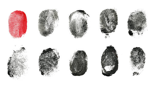 Multi Fingerprint (Clipping Path) "Black Fingerprint , clipping path." fingerprint photos stock pictures, royalty-free photos & images