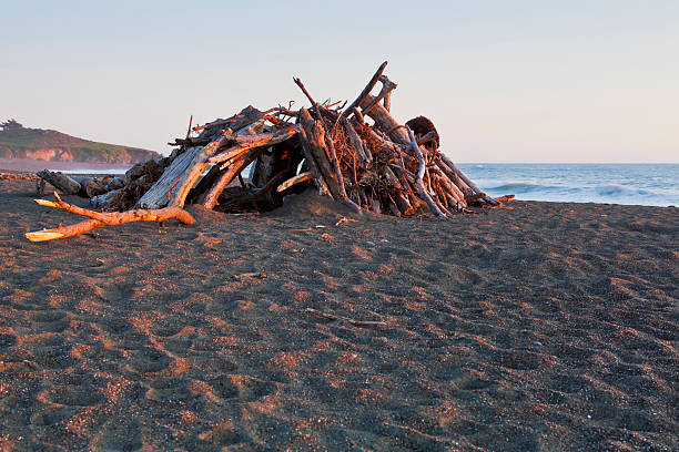 Driftwood Cabina da spiaggia - foto stock