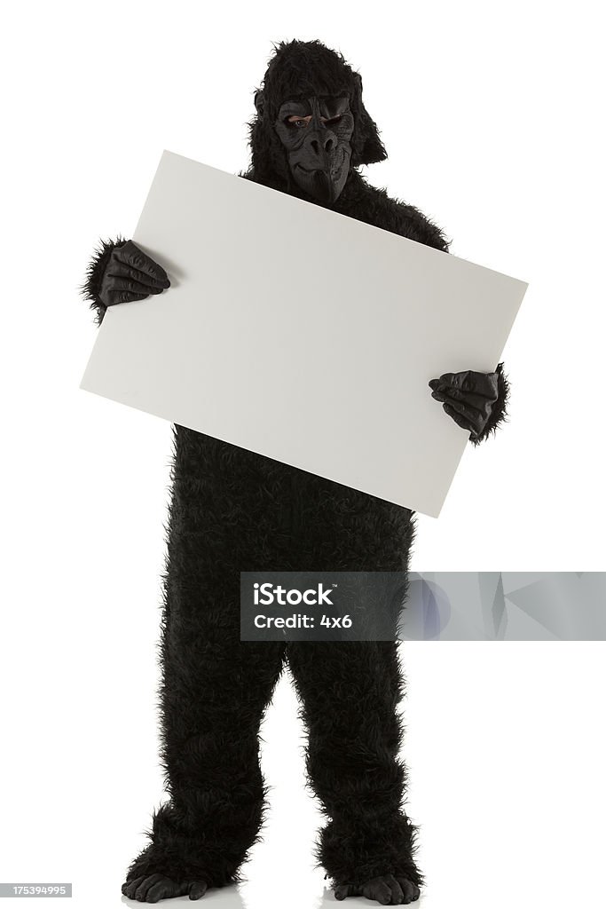 Man in gorilla costume holding a placard Animal Head Stock Photo