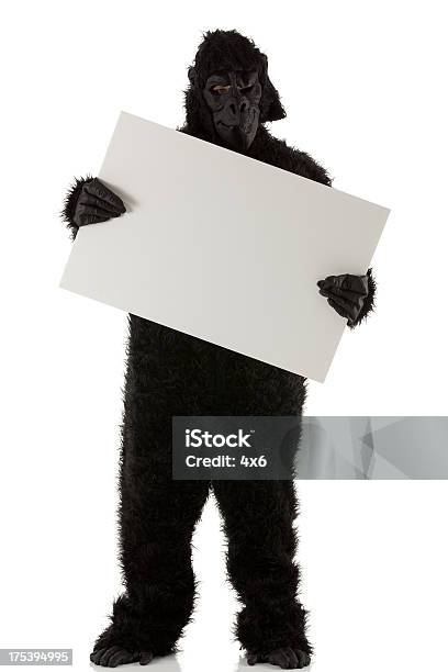 Man In Gorilla Costume Holding A Placard Stock Photo - Download Image Now - Animal Head, Holding, Humor