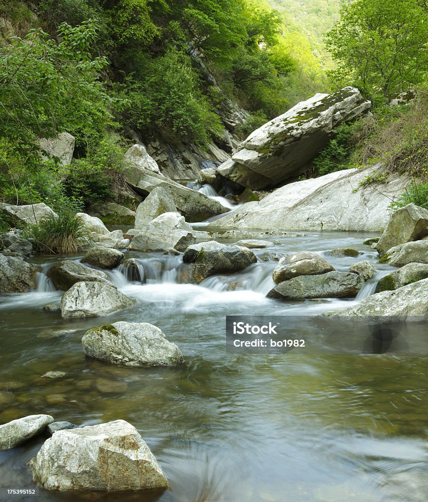 Torrent de la montagne - Photo de Caillou libre de droits