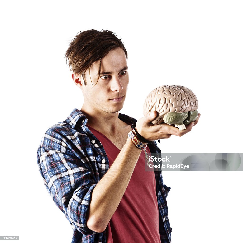 Homme sérieux stares intensité au modèle de cerveau humain - Photo de Adolescent libre de droits