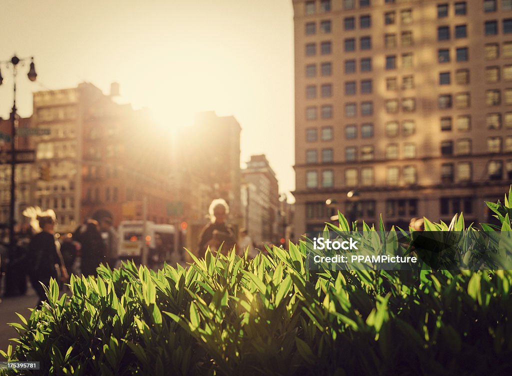 Peatones en la ciudad de Nueva York - Foto de stock de Ciudad libre de derechos