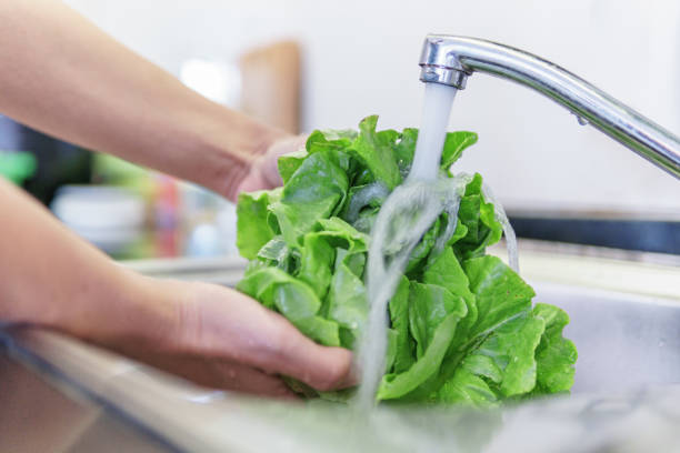 istock Woman hands washing fresh green iceberg lettuce in kitchen 1753967019