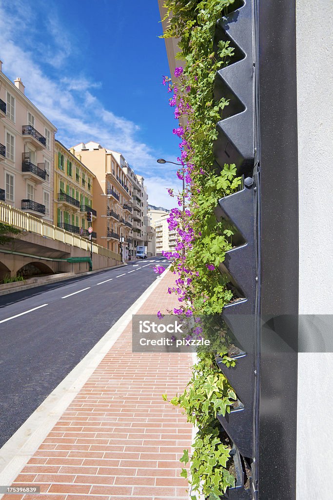 Living Wall Office Facade on City Street vertical Wall of a building covered with plants to make a green or living wall. The plants grow in special hydroponic pots attached to the wall. Office Building Exterior Stock Photo