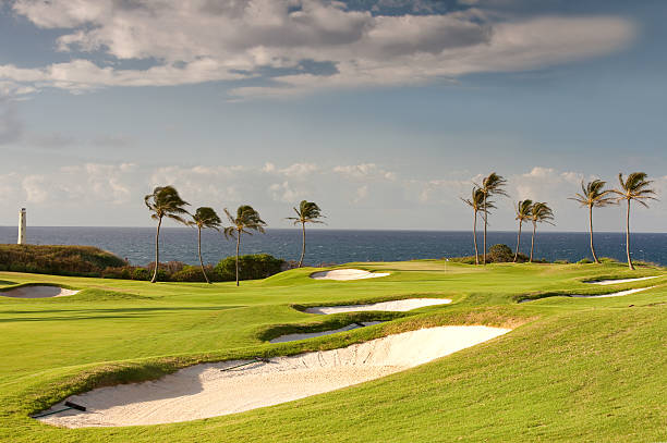 golf verde no mar - surf turf imagens e fotografias de stock