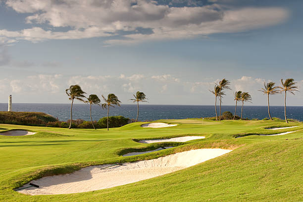 поле для гольфа на берегу моря - golf course usa scenics sports flag стоковые фото и изображения