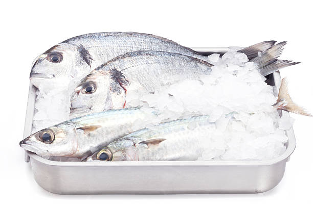 istock Fishes on steel tray with ice 175397172