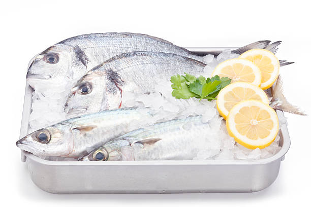 istock Fishes on steel tray with ice 175397318