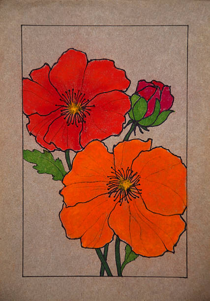 Iceland Poppies vector art illustration