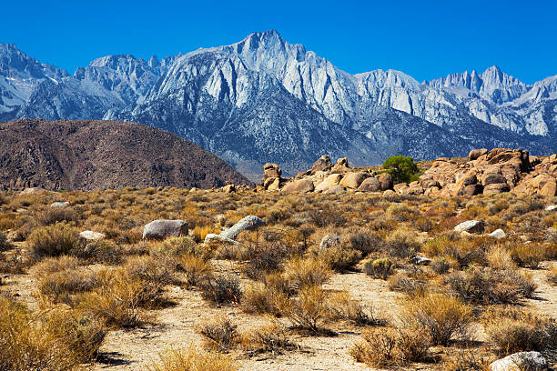 istock Mount Whitney and Alabama Hills 175397611