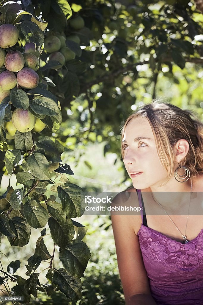 Teen Girl & Apples Teen girl gazing longingly at apples on tree. Slightly soft focus on eyes. Agriculture Stock Photo