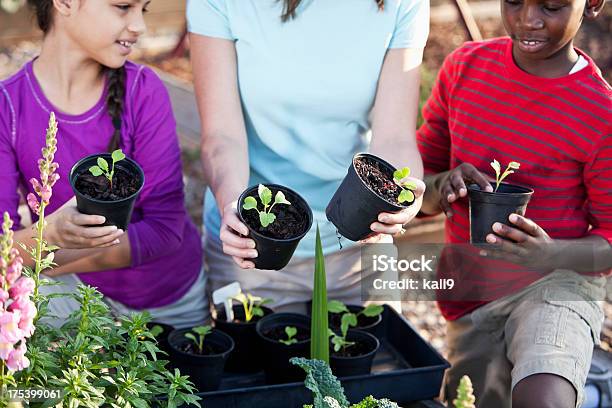 お子様を植える Seedlings - 10歳から11歳のストックフォトや画像を多数ご用意 - 10歳から11歳, 30代, 30代の女性